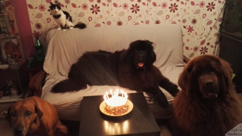 Фотография № 230895