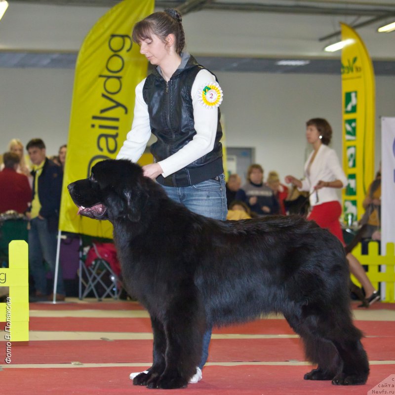 Фотография № 230903