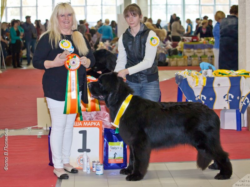 Фотография № 230904