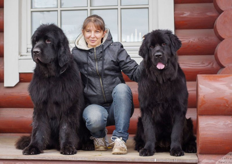 Фотография № 230907