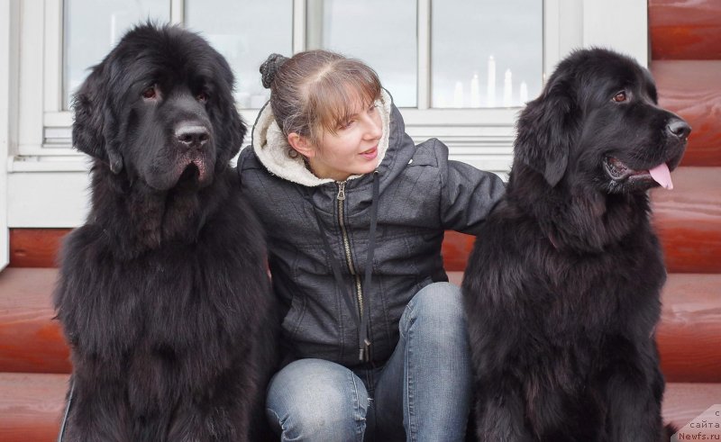 Фотография № 230909