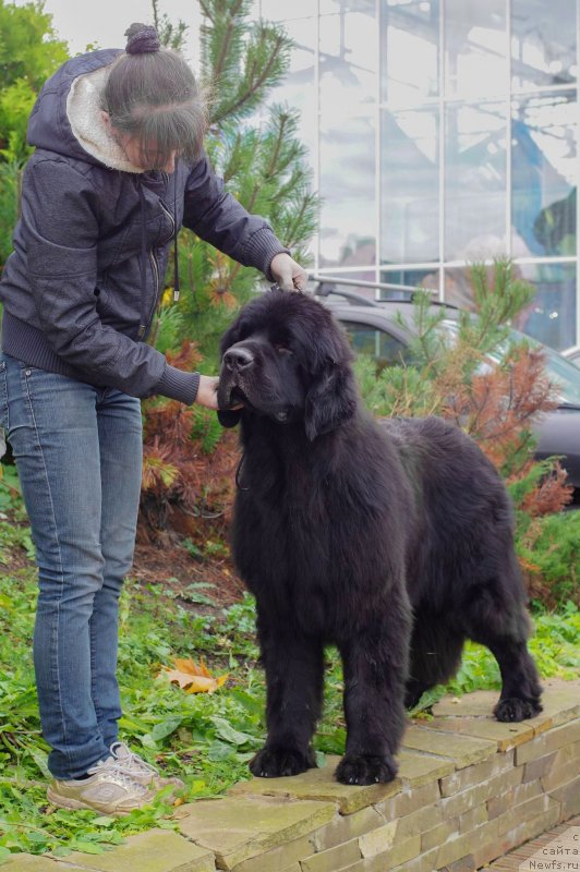 Фотография № 230910