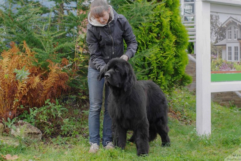 Фотография № 230912