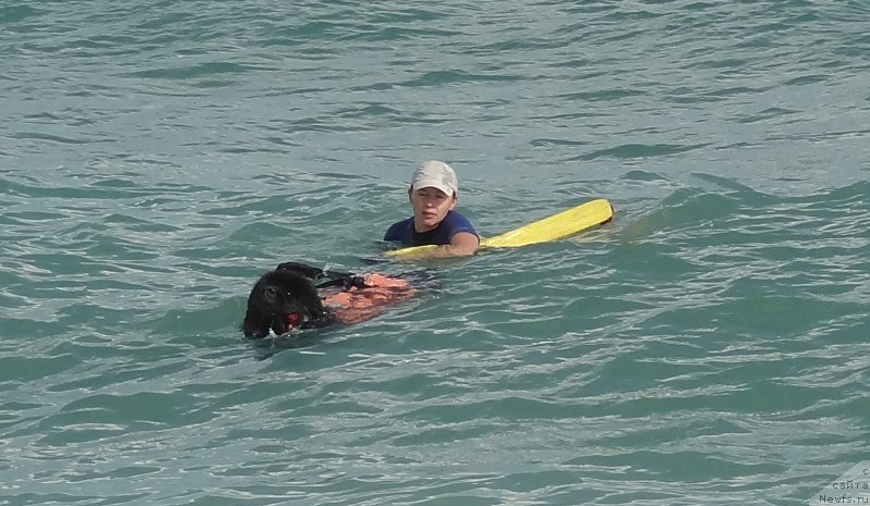 Фотография № 230914