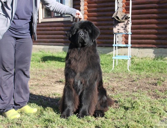 Фотография № 230916