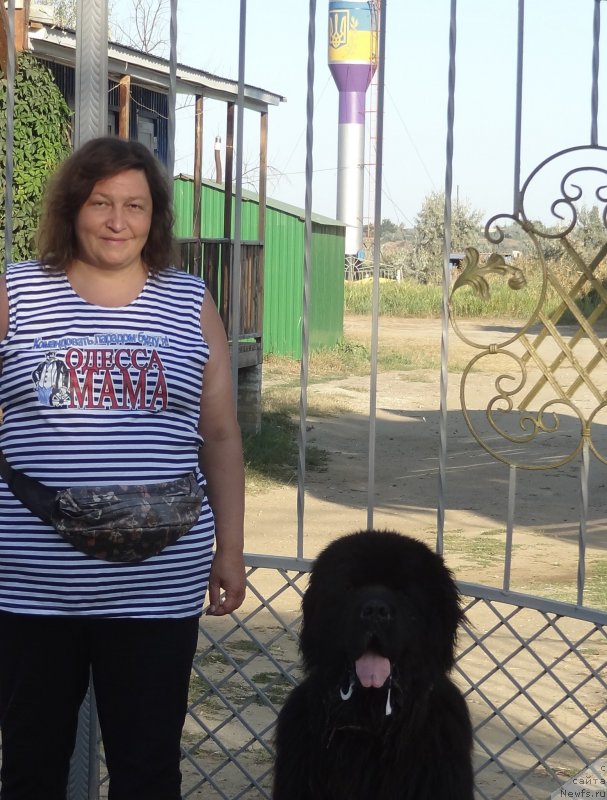 Фотография № 230964