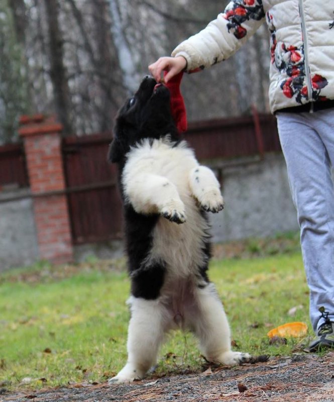 Фотография № 230967