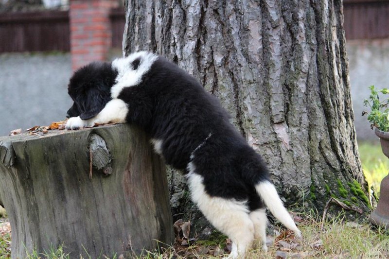 Фотография № 230977