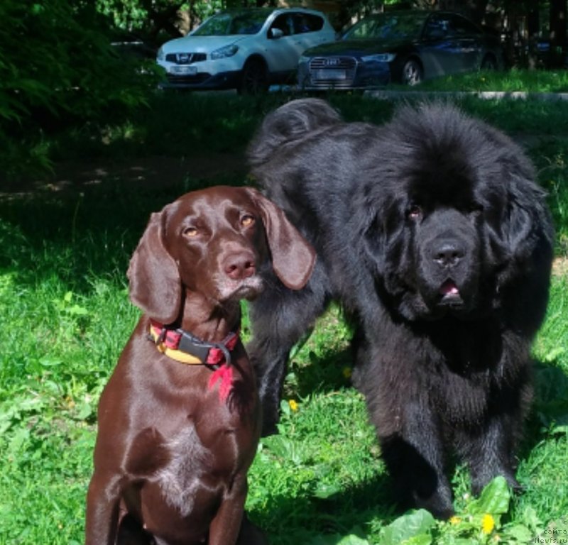 Фотография № 231014