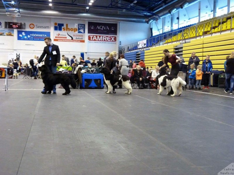 Фотография № 231015