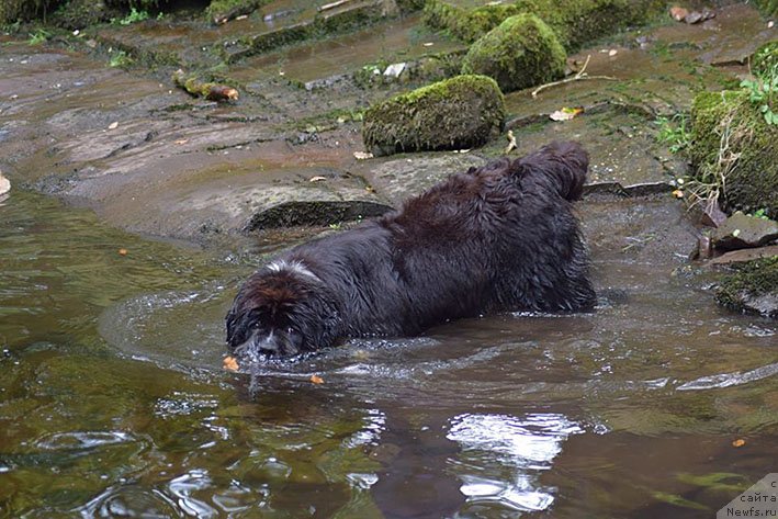 Фотография № 231042