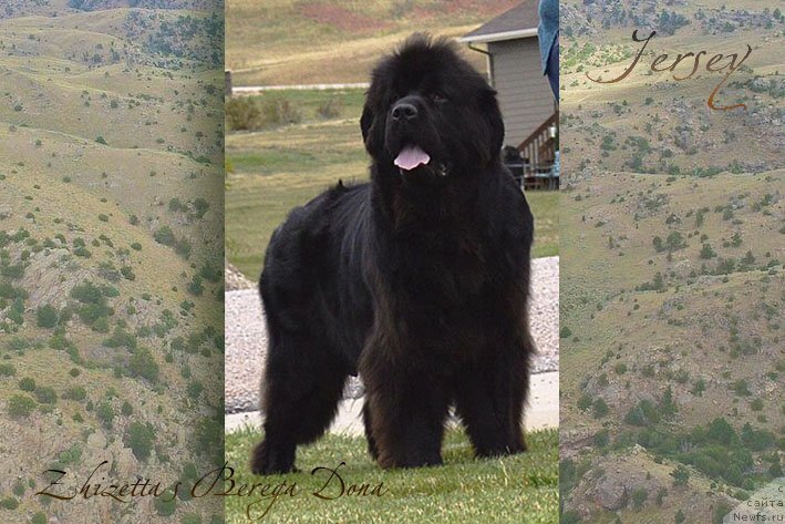 Фотография № 231047