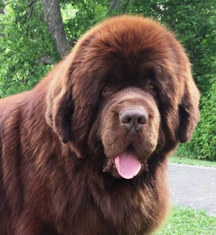 Фотография № 231050