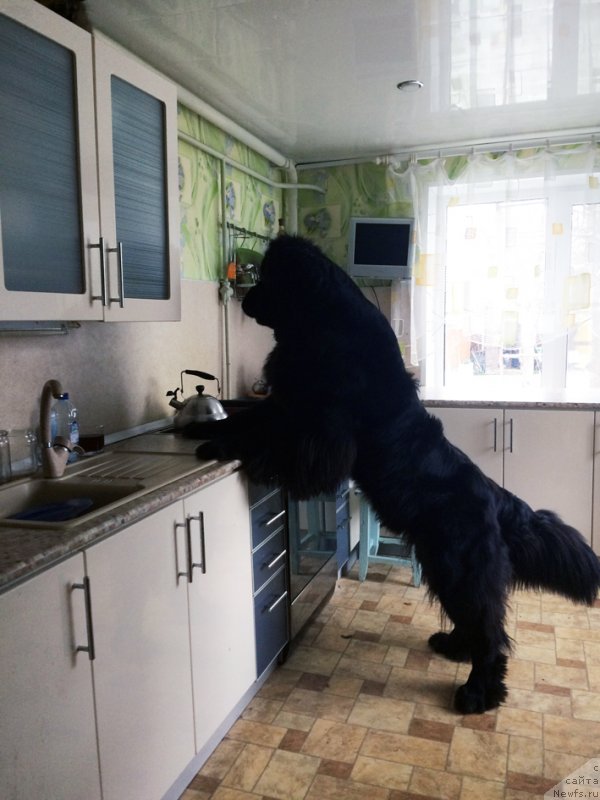 Фотография № 231064