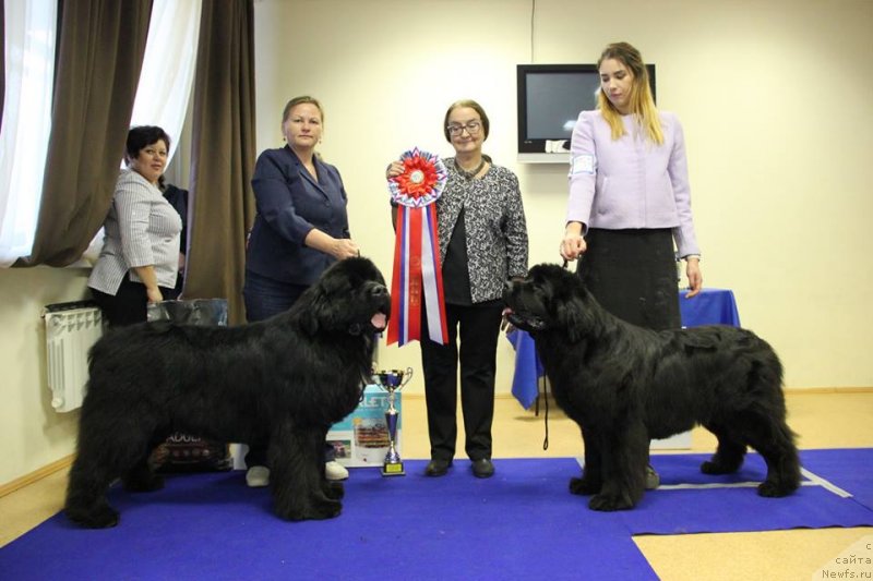 Фотография № 231088