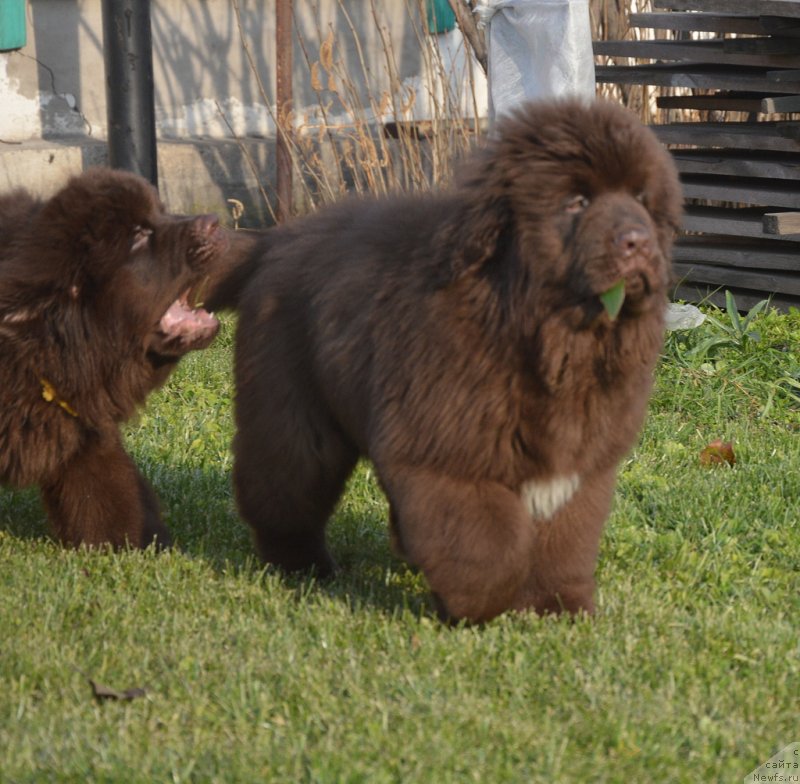 Фотография № 231098