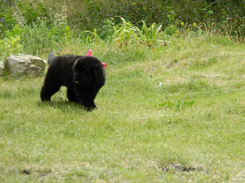 Фото: Наши дети