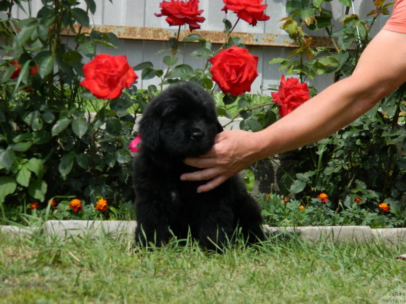 Фото: Наши дети