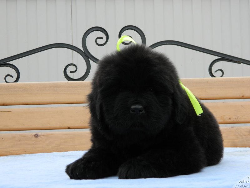 Фото: Наши дети