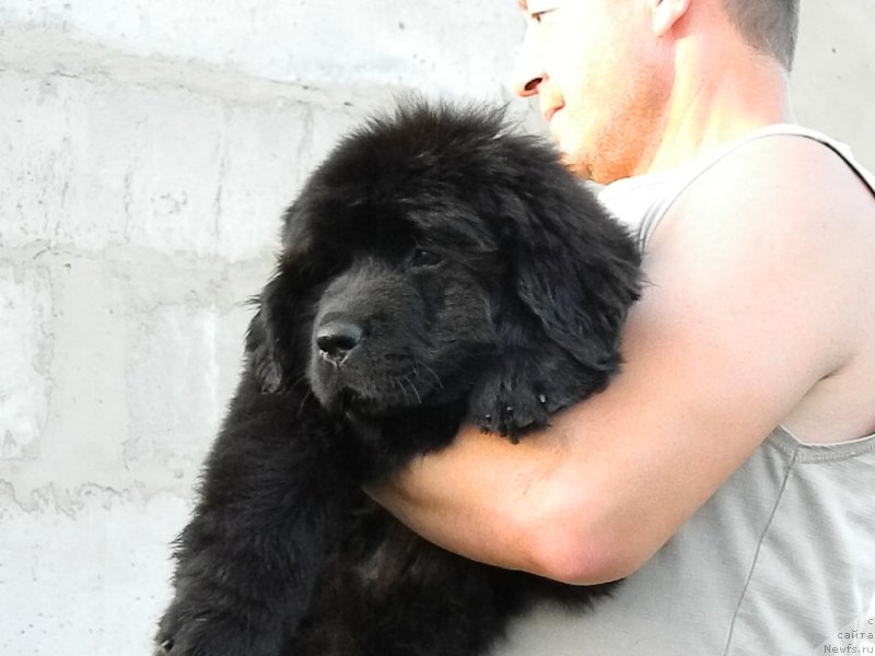 Фото: Наши дети