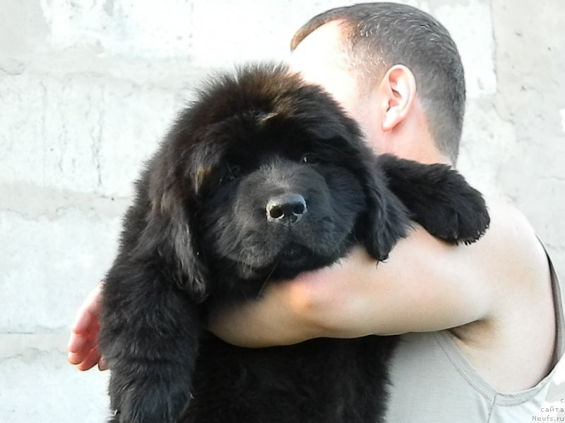 Фото: Наши дети