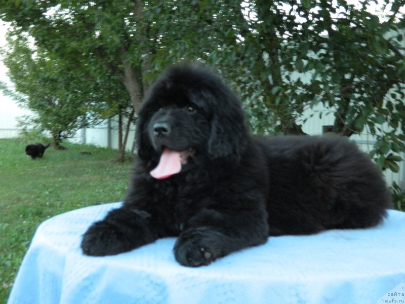 Фото: Наши дети