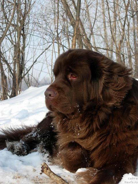 Фотография № 23117