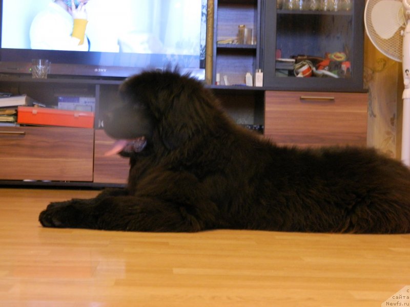 Фото: Наши дети