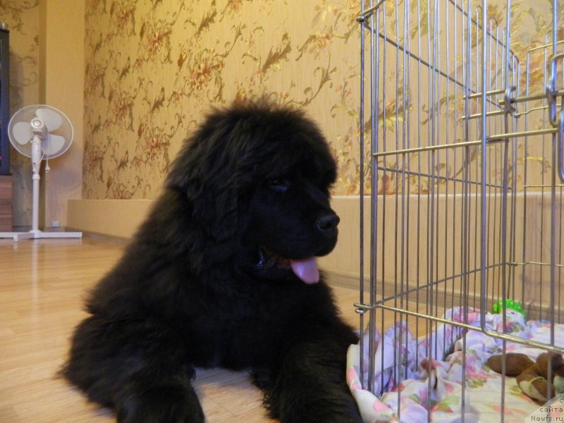 Фото: Наши дети