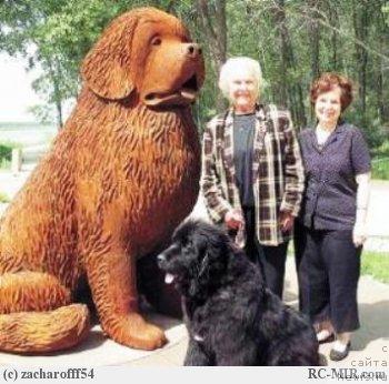 Фотография № 23121