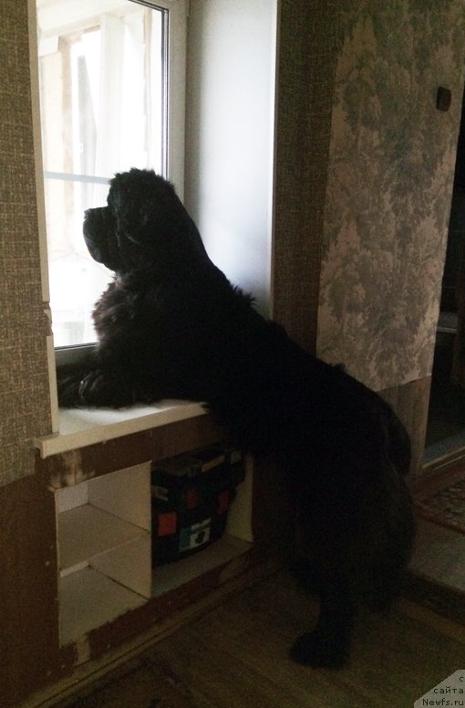 Фотография № 231219