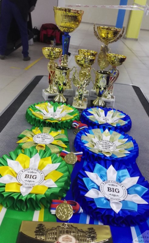 Фотография № 231221