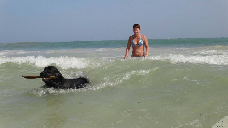 Фотография № 231223