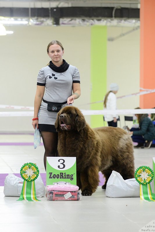 Фотография № 231245