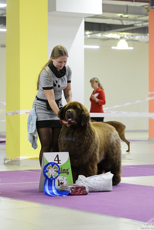 Фотография № 231247