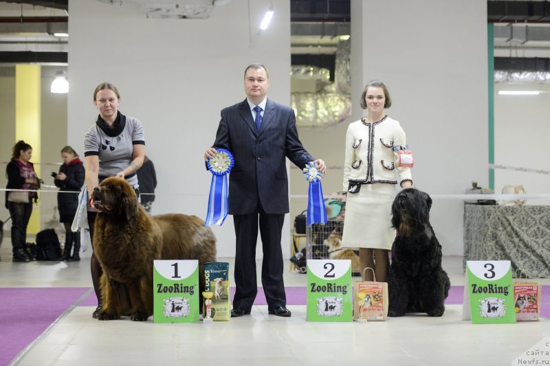 Фотография № 231248