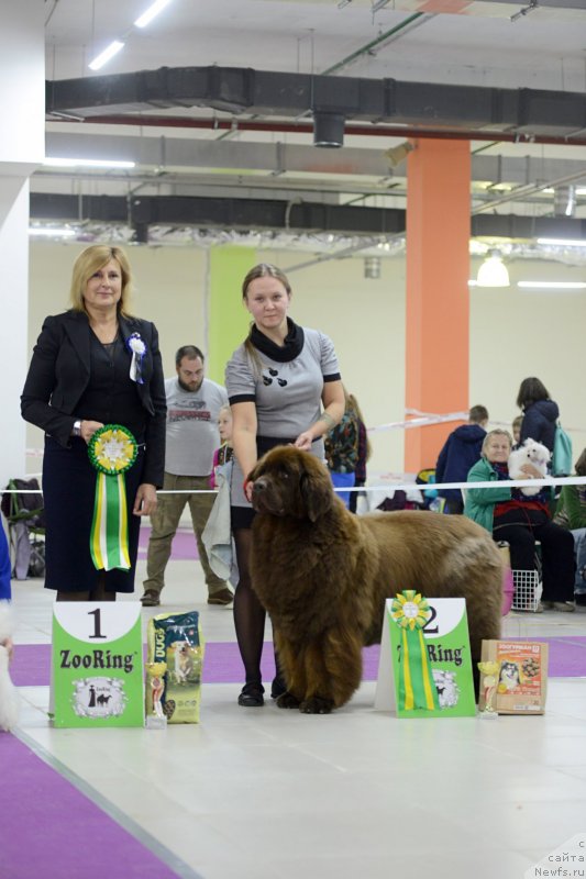 Фотография № 231249