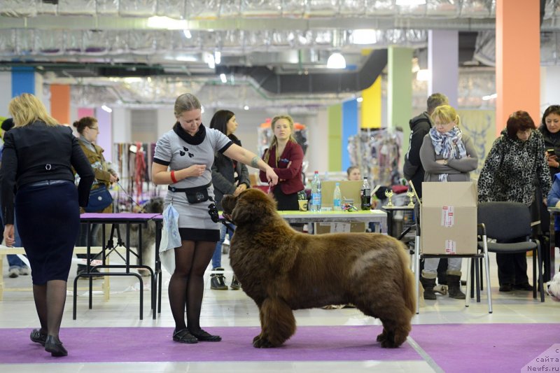 Фотография № 231250