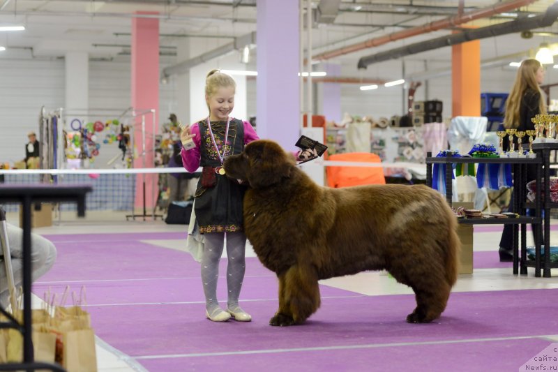 Фотография № 231252