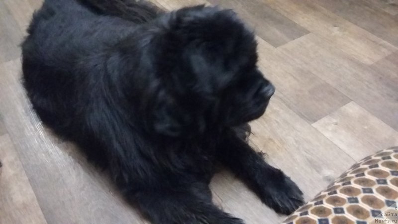 Фотография № 231255