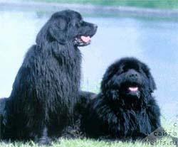 Фотография № 23126