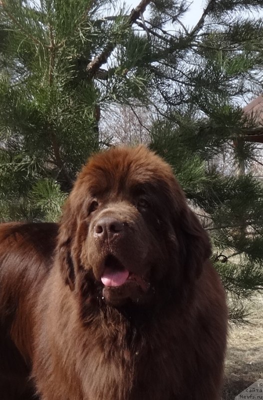 Фотография № 231275