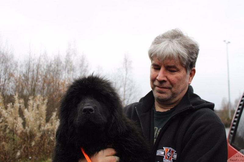 Фото: ньюфаундленд Люси Мод Монтгомери (Lucy Maud Montogomery)