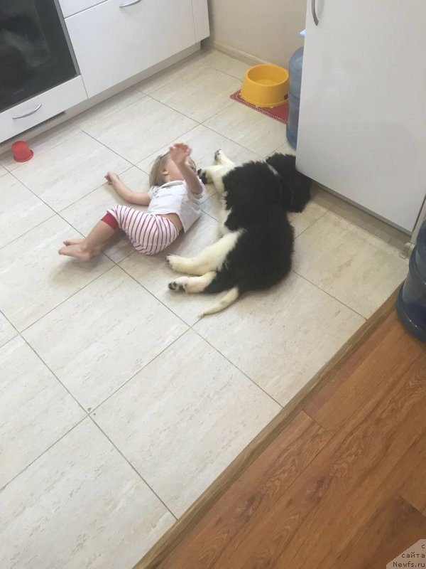 Фотография № 231361