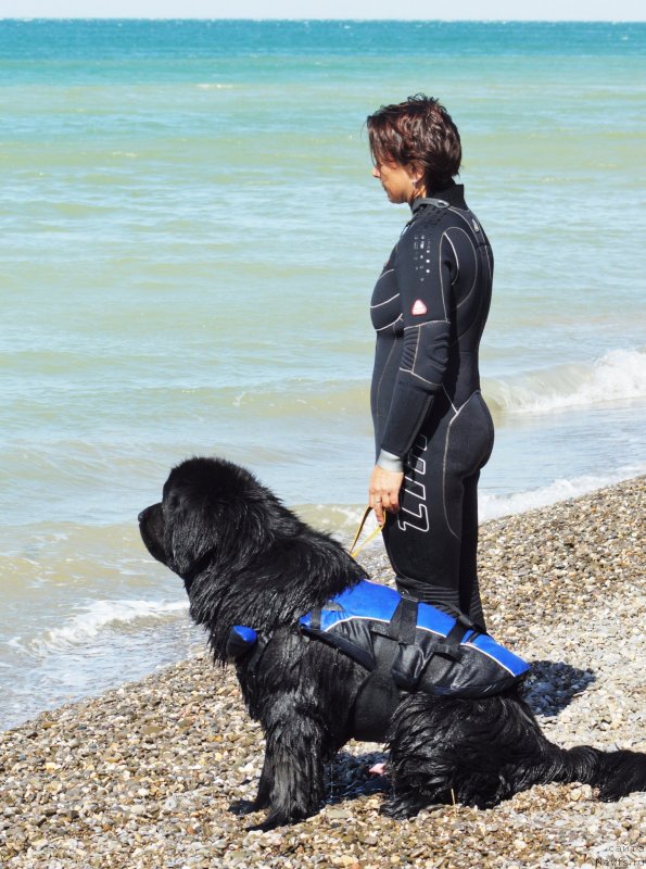 Фотография № 231364