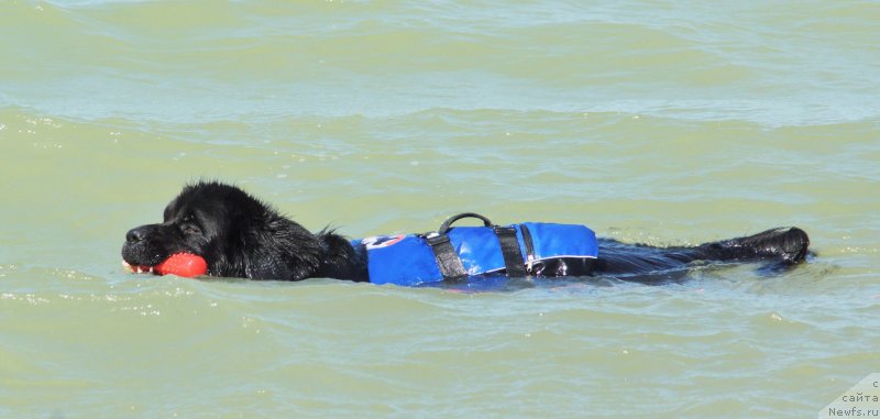 Фотография № 231366