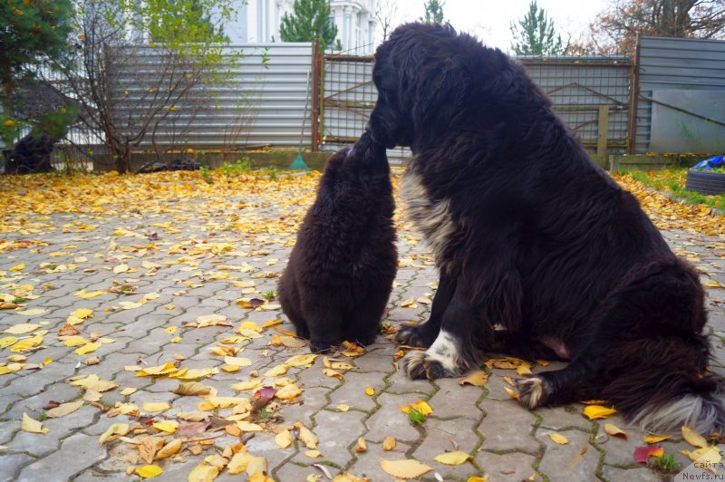 Фотография № 231378