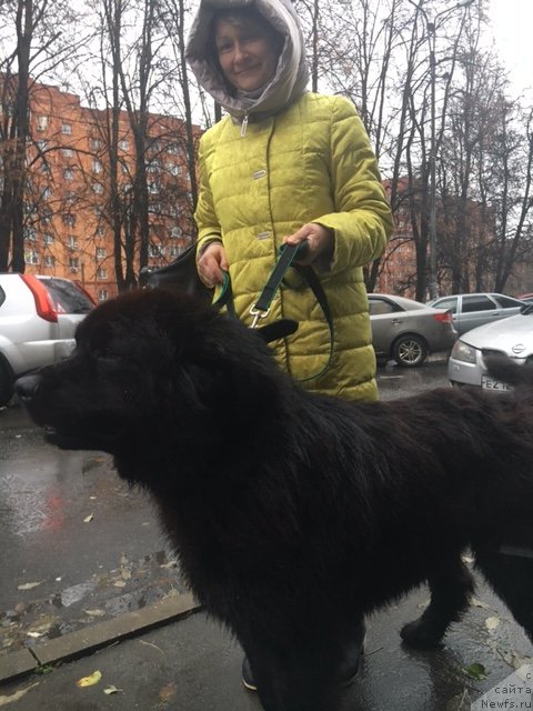 Фотография № 231381