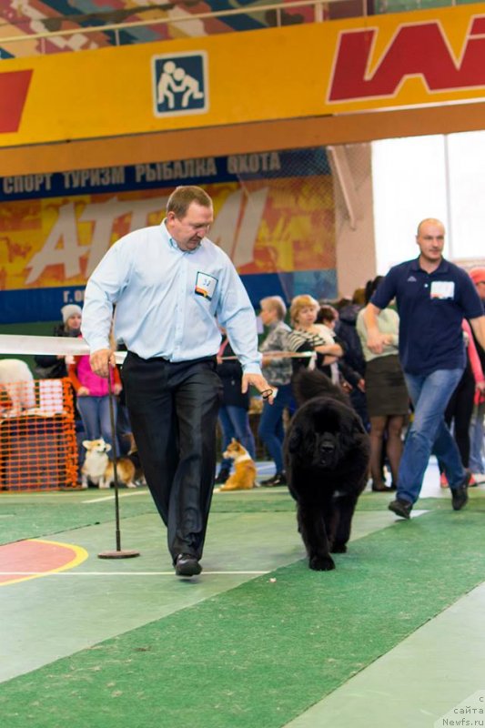 Фотография № 231383