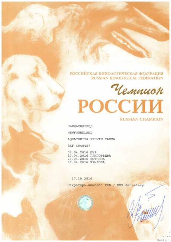 Фото: ньюфаундленд Акватория Келвин Яуза (Aquatoriya Kelvin Yauza), ньюфаундленд Акватория Келвин Яуза (Aquatoriya Kelvin Yauza)